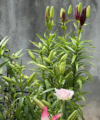 ���Լ��ֵĻ����������С�ڵ��¼����ǿ϶�û����