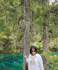 87165CMн칫˾С飬ϣԷȶ