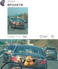 ��·���ܵ���Щ���á����ۡ�����Ȼ���۰��޴�����