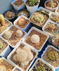 �����������Ӱ�죬�����򿪵Ļ�����������