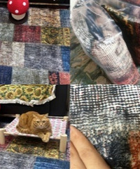 ��100���򵽵ĵ�̺����ֵ�ԣ����ܻ�ϴ