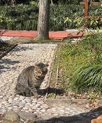 [����]��԰��������N��������ɥ��è�����鲻�û�ҪϮ����