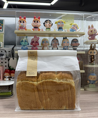 ǳǳ��¼һ�£�Ұ���決������֮·