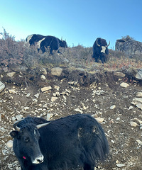 ˵߾ߣԼݴСߣڵķ羰