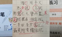家有8岁男娃,成绩差也得硬着头皮鼓励