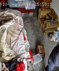 公公用儿媳抵债,联合他人共同强奸