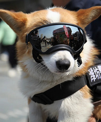 [��ɣ]��ʵ֤��С���ϰ�Ҳ���а�ζ����Ȯ�����ϰ�����඼����