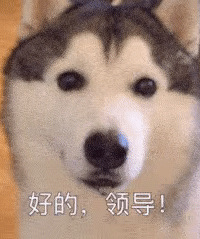 ������ֵ����ħ�������29������502����һ�����399