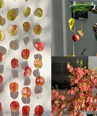 ȥժ��ʷ�������µ����������ɻ�Ҳ����