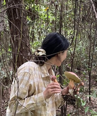 铁山坪捡的超大见手青