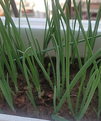 [��]�ڼ�����̨�ֵ�аɣ������������֣����ϼ嵰���˵�����