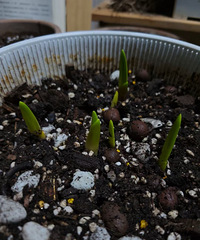 һֱû���ֵ��춥�죬��Ȼ�Լ��ͷ�ѿ��