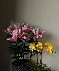 30��Ǯ�İ����ذ�ٺϻ����ˣ��������