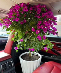 �������˿�1.2�׵�����÷������130�����