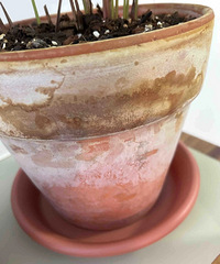 ����һ�������践��Ĵ�������