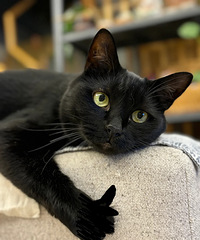 ������è�����ǲ��Ƕ���ô�����������ֶ�����