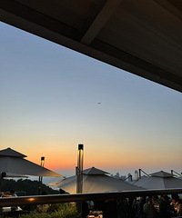 ������ϼ����������������������