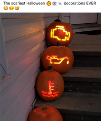 ��ֲ�����ʥ�ڵ��Σ���������������ɾ�˰�