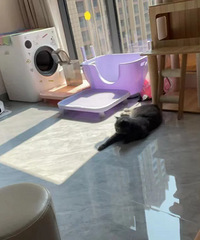 �����ʴ��èɰ���Ϸ��ռ���ô���õ�