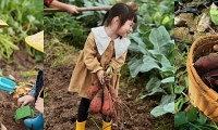 收获的季节到啦,去南山挖红薯、烤红薯