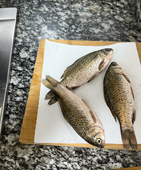 �����ʺ�ȫ�ҵ�����������