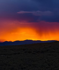 92178CMĸ飬ԼΡɽպͳԻ