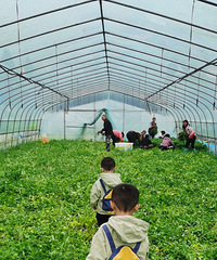 [զ��]�����˫��̥�����ʲ��𣿾���������icu��ס��2��