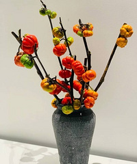 15Ԫһ�ѵ��в�С�Ϲϣ���ƿ���ﶬ��Χ������