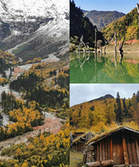 ȥ���ӿ�����ѩɽ�ɣ���������