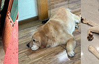 ��Ȼ��û���������ֵĶ����ë125����һ���