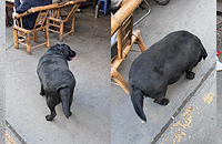 ����ʳ���������࣬һ��С�ľͳ����ˡ�����������