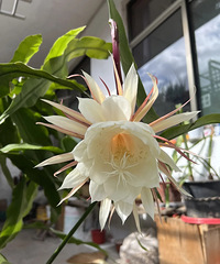 ����ʮ�����꼻���������ο������ñ��˻���