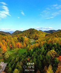 周末2天时间,坐动车去广元曾家山看绝彩林!