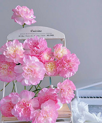 [����]������һ�μ������Ů�Ŀ���ܰ��40���20֦��������