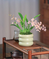 9.9���ֵ����������ԣ�����ˮ�����ţ�̫������