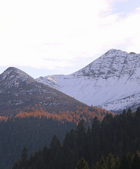 90갮Լݺ¶Ӫĸ飬ϣԷ87~95