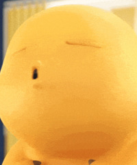 ������ֵ������������Ԫ��÷��10ƿ19������������5��22