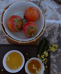 ����ĵ�һ���𻨲裬һ���¶Ǹо������˶�ů����