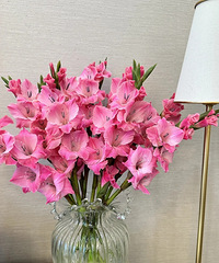 39����һ�ѳ����Ļʼ�õ�彣�������ݮ����ɫ