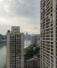 ����ɭ��