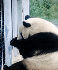 ������ֵ���򡿰�����+plus�꿨148��ë��ƽ��˪289