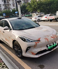 ����ϲ���³�������ĸ���롰���š�Ĩ��һ����Ѫ�����ҲĨû�뵽
