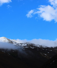 90갮Լݺ¶Ӫĸ飬ϣԷ87~95