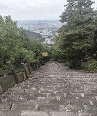 ɽɭֹ԰ƫƧҰʱ׼÷