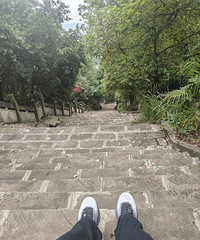 ɽɭֹ԰ƫƧҰʱ׼÷