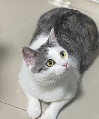 92èĻױʦС飬ϣԷ170