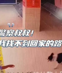 重庆边牧走丢后自己去派出所报警