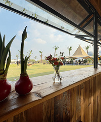 ɹɹ̫�����Ⱥ�����裬�����һ���