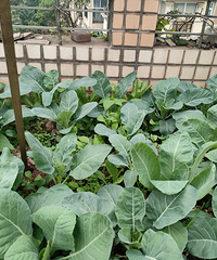 �ֲ��������ˣ��˳��ú�ȫ���ͱ��ͼ�����2�ַ���