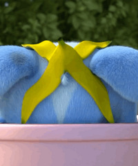 ������ֵ�������˱��ݺ�ʯ����˪2ƿ58�����¼�����129